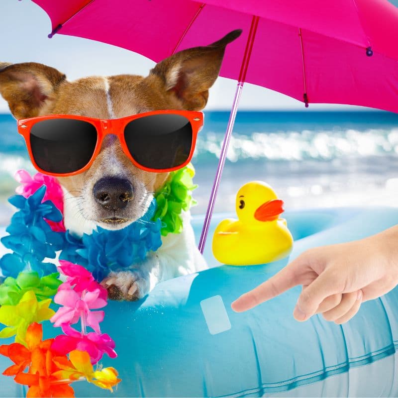 Zestaw naprawczy do materaców basenów 5x